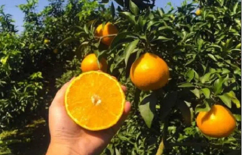 微信图片_20260114164328_946_1