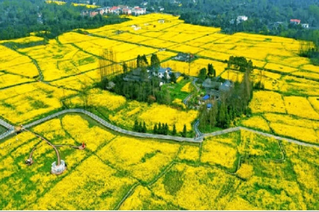 微信图片_20260114164331_948_1