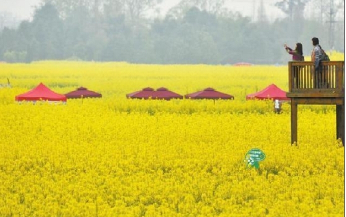 微信图片_20260114164332_949_1