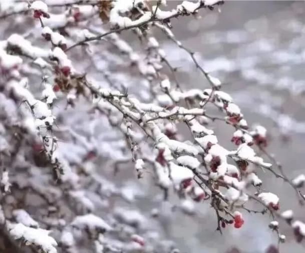 微信图片_20260119230916_977_1