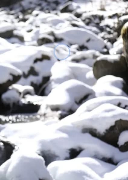 微信图片_20260119230919_980_1