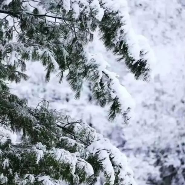 微信图片_20260119230917_978_1