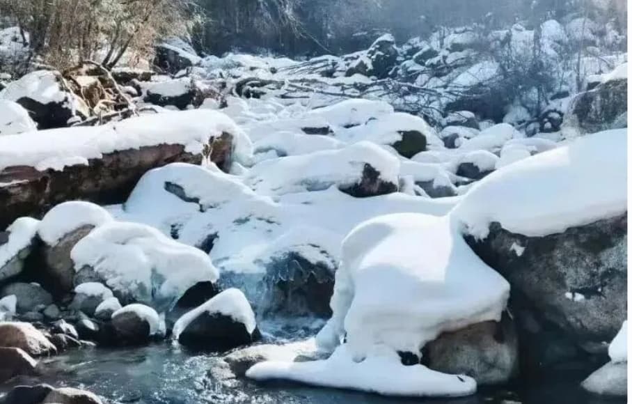 微信图片_20260119230915_976_1