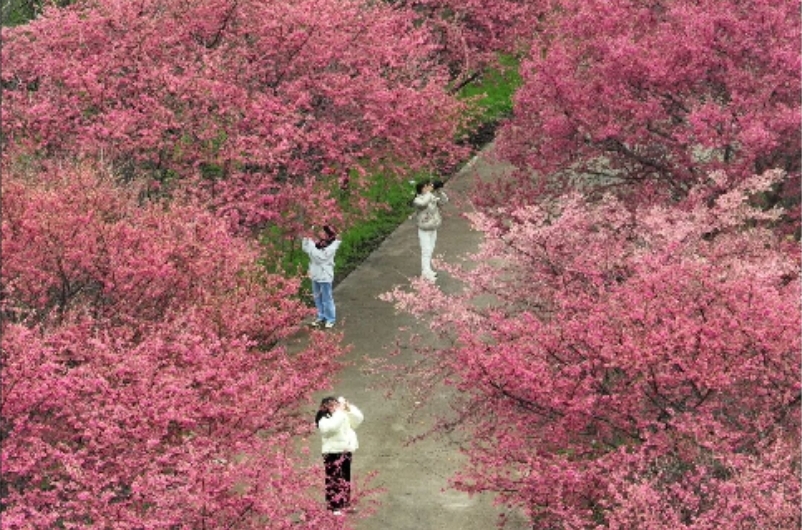 微信图片_20260126231330_1016_1