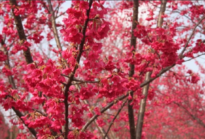 微信图片_20260126231328_1015_1