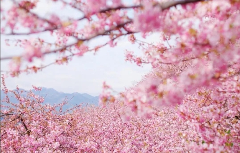 微信图片_20260126231331_1017_1