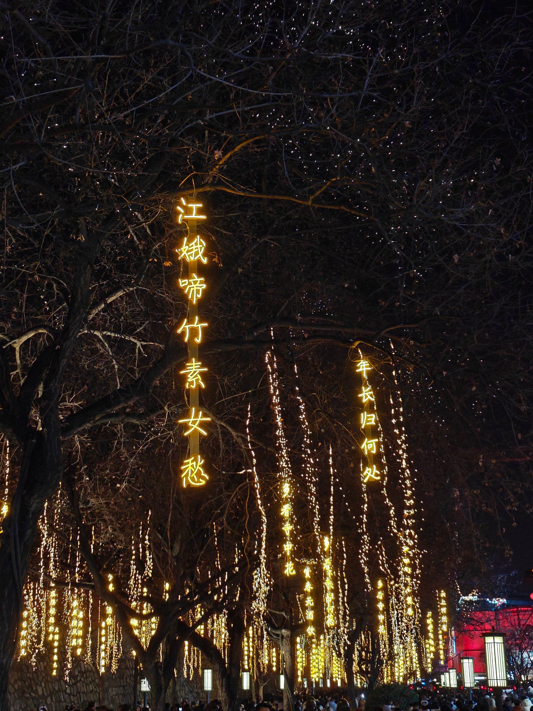 微信图片_20260128001455_1092_1