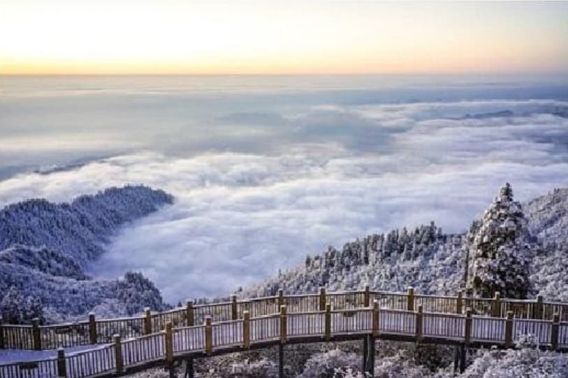 微信图片_20260301234004_1278_1