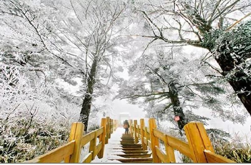 微信图片_20260301234003_1277_1