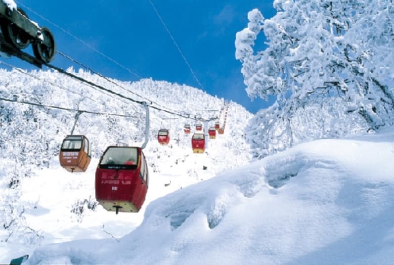 微信图片_20260301234005_1279_1