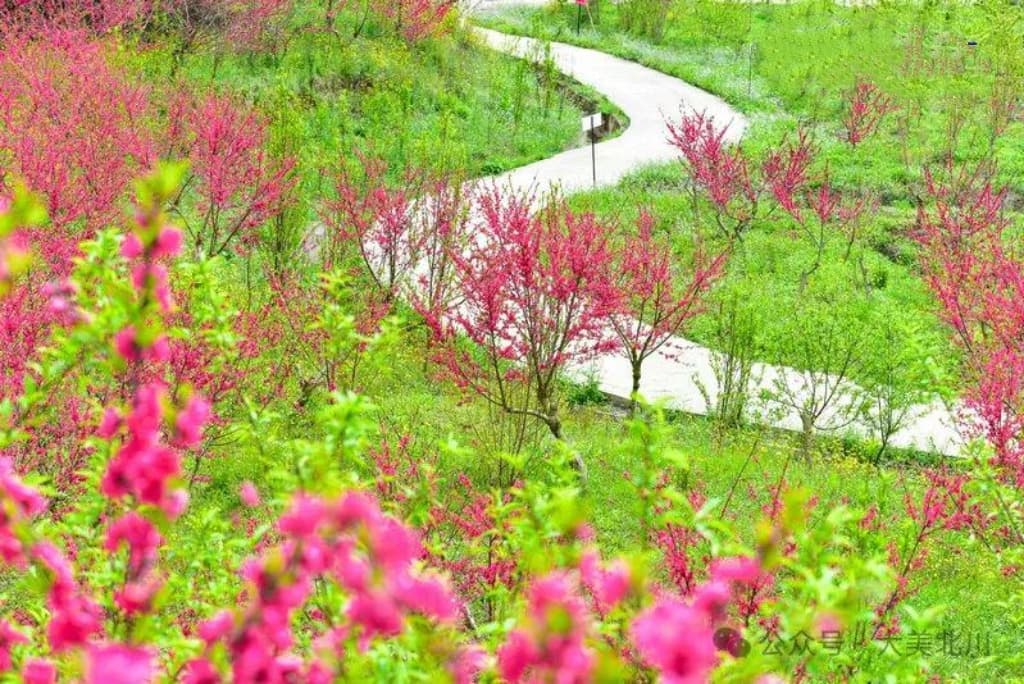 微信图片_20260310224120_1414_1