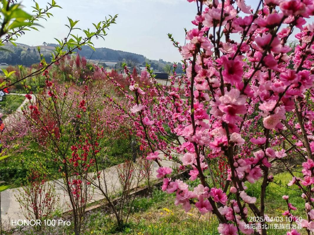 微信图片_20260310223511_1408_1