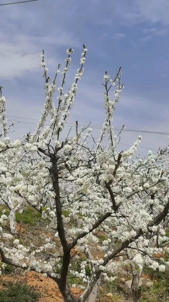 微信图片_20260310223501_1404_1