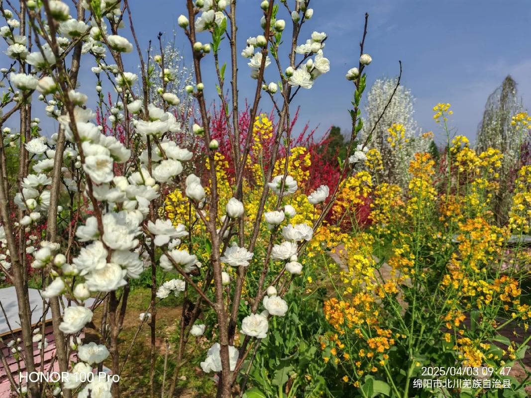 微信图片_20260310223514_1411_1