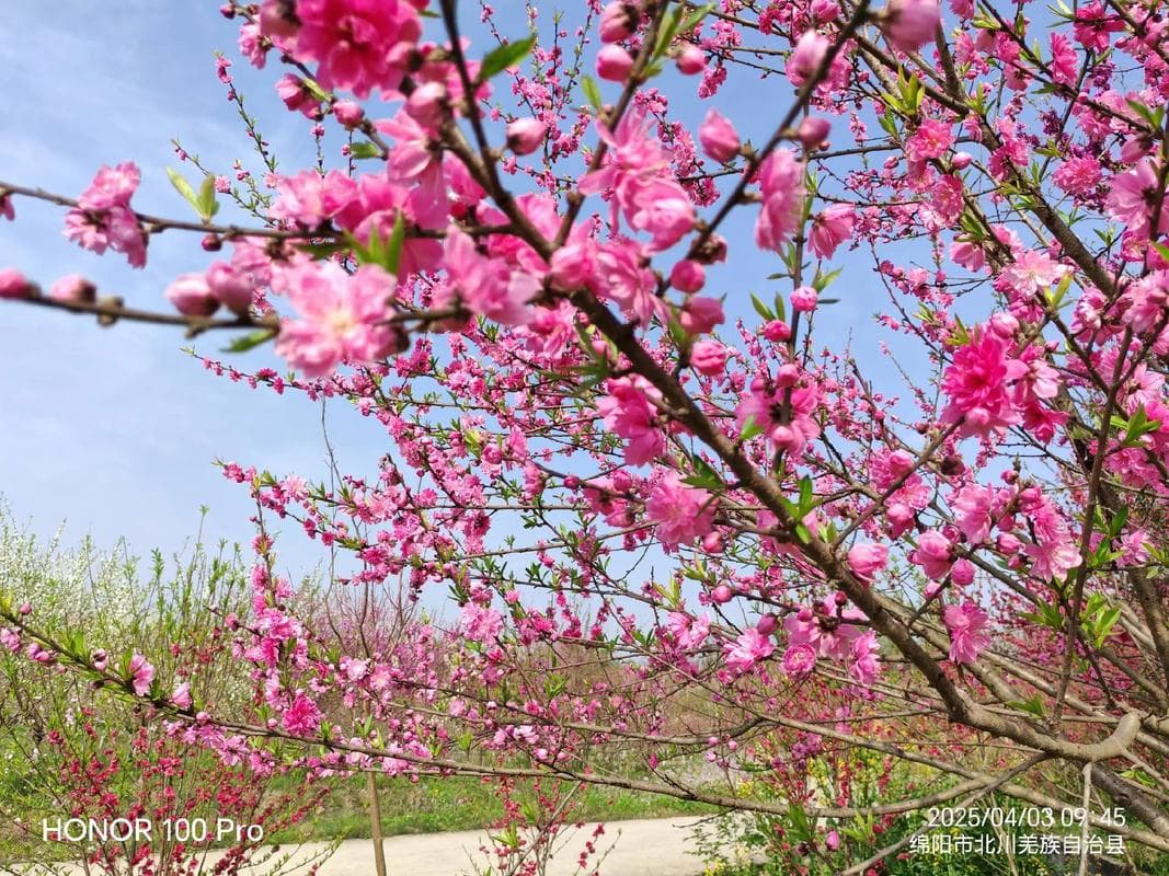 微信图片_20260310223517_1412_1