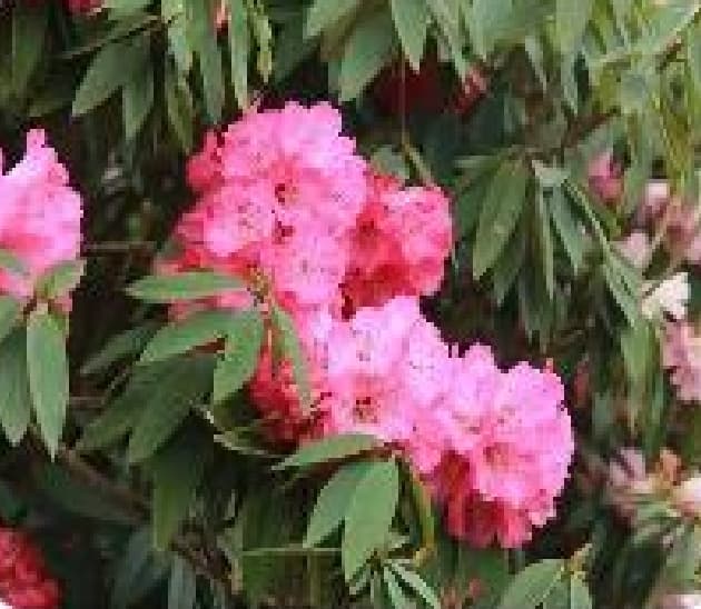 微信图片_20260319113415_1463_1