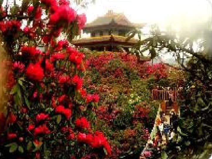 微信图片_20260319113414_1462_1