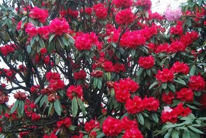 微信图片_20260331170216_1558_1