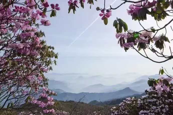 微信图片_20260331170222_1562_1