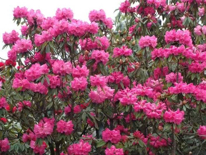 微信图片_20260331170217_1559_1