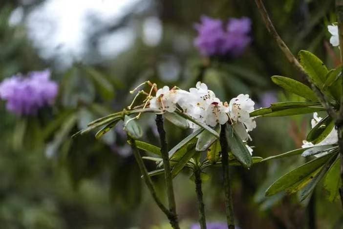 微信图片_20260331170219_1560_1