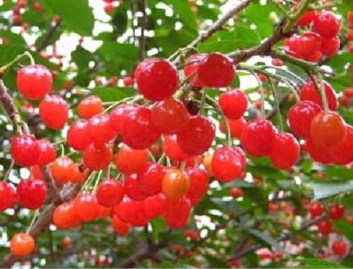 微信图片_20260413225132_1688_1