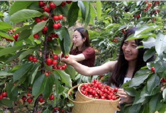 微信图片_20260413225131_1687_1