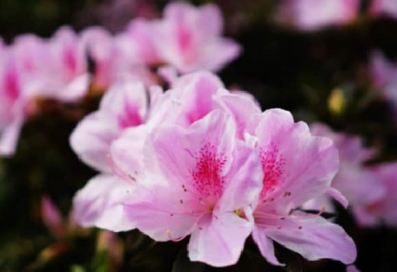 微信图片_20260420224721_1756_1