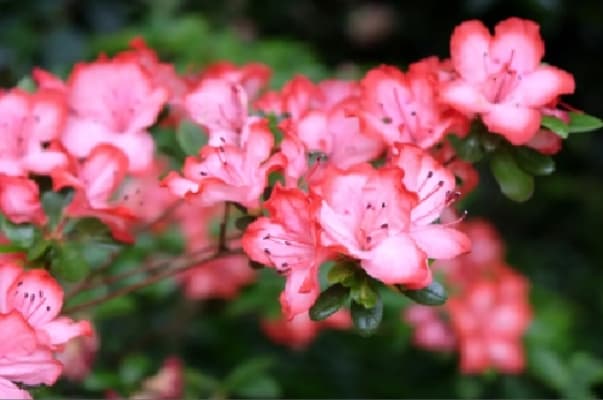 微信图片_20260420224727_1759_1