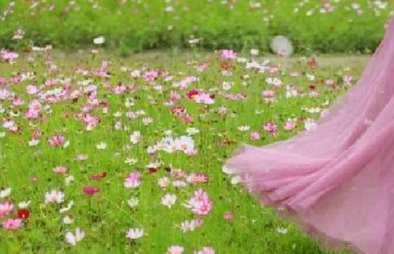 微信图片_20260422103947_1789_1