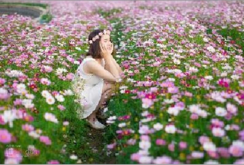 微信图片_20260422103949_1790_1