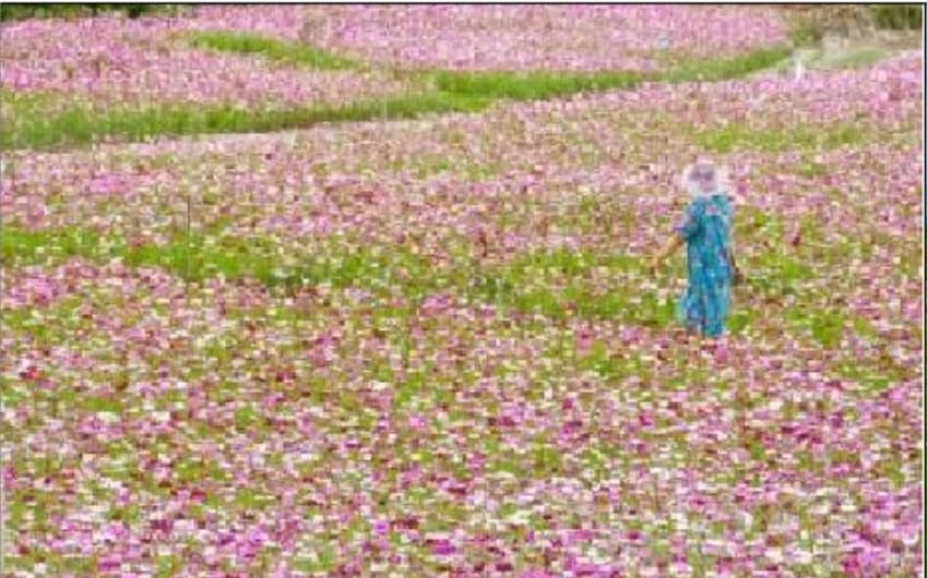 微信图片_20260422103944_1787_1