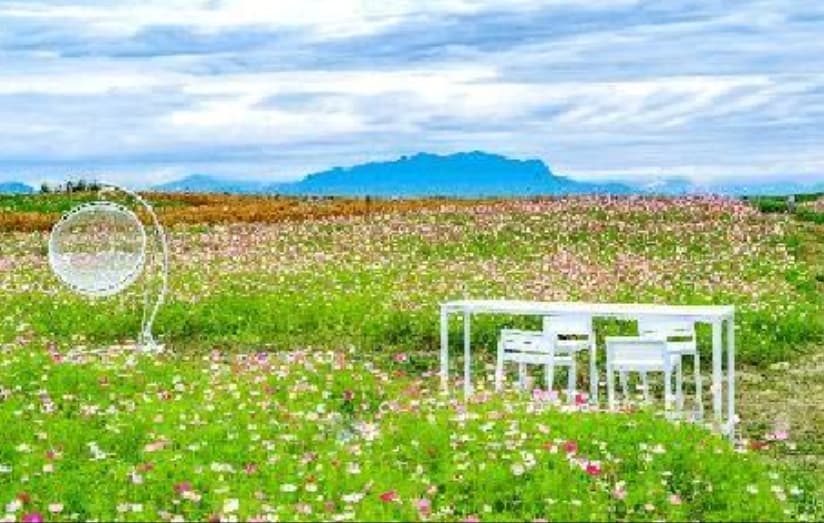 微信图片_20260422103945_1788_1