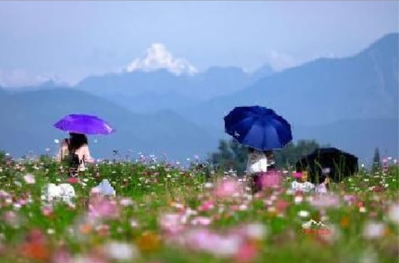 微信图片_20260422103952_1792_1