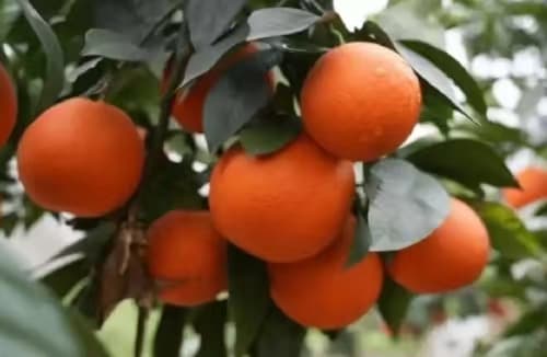 微信图片_20260428112408_1840_1