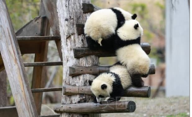 微信图片_20260428152239_1858_1