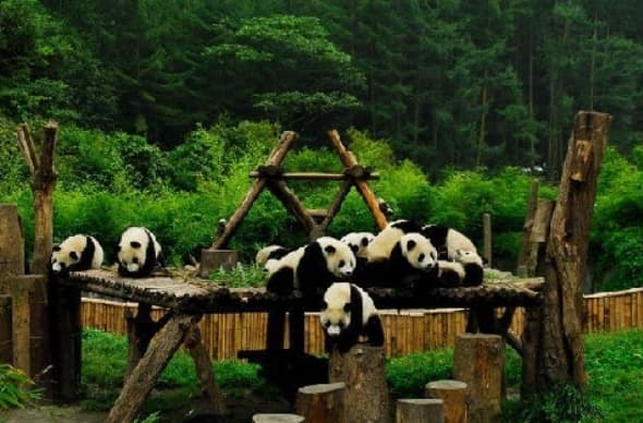 微信图片_20260428152237_1857_1