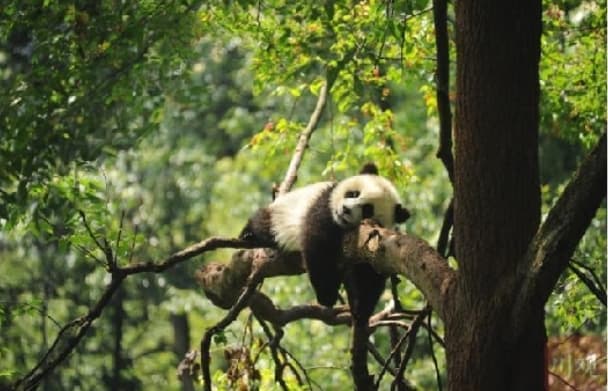 微信图片_20260428152241_1861_1