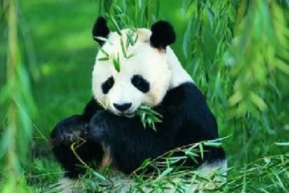 微信图片_20260428152240_1860_1