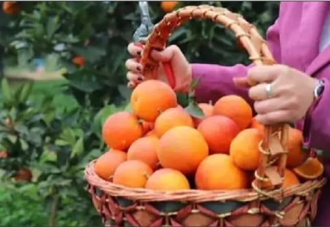 微信图片_20260428112409_1841_1