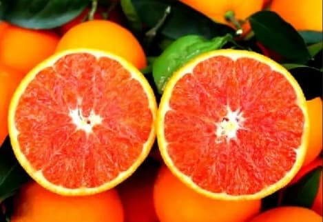 微信图片_20260428112410_1842_1