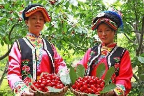 微信图片_20260519155145_2141_1
