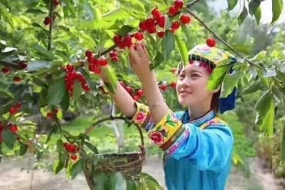 微信图片_20260519155147_2143_1
