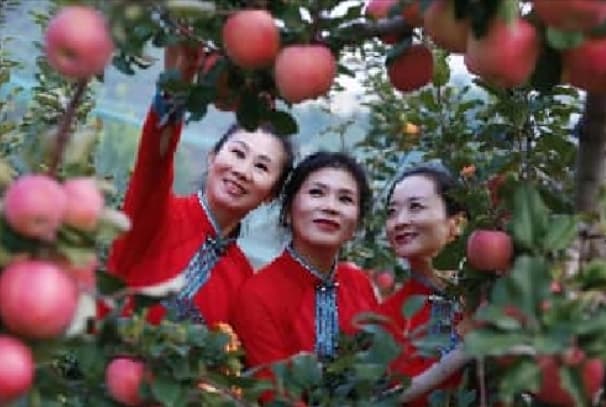 微信图片_20260718095211_2667_1