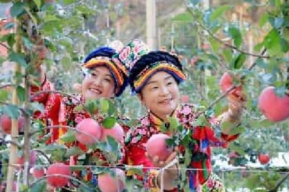 微信图片_20260907164949_2947_1