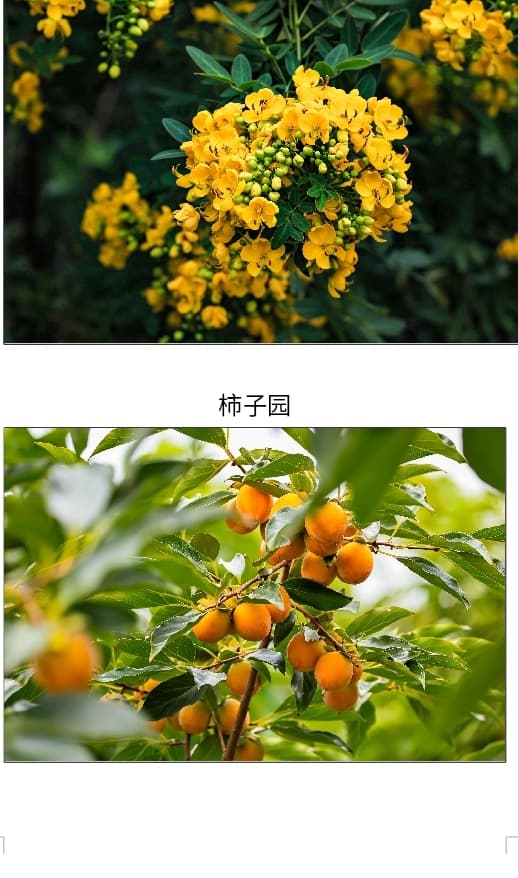 微信图片_20261007151724_3197_1