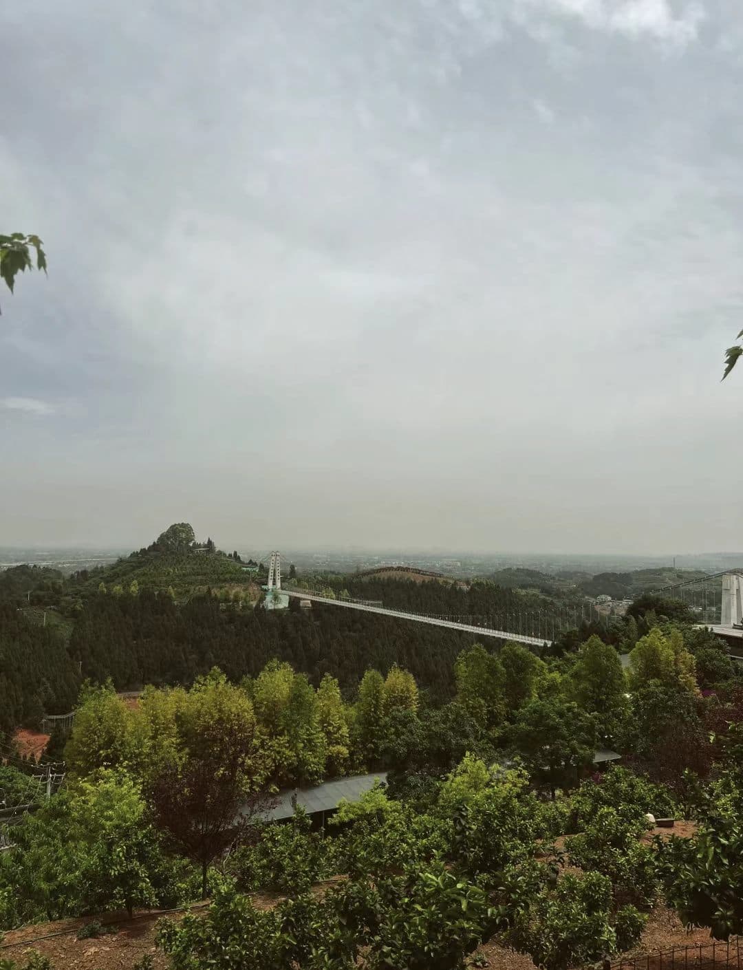 微信图片_20261007151712_3191_1