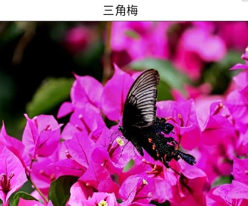 微信图片_20261007151725_3198_1