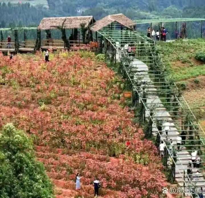 微信图片_20261007151709_3190_1