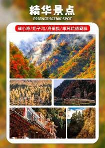 微信图片_20261019102806_121_2